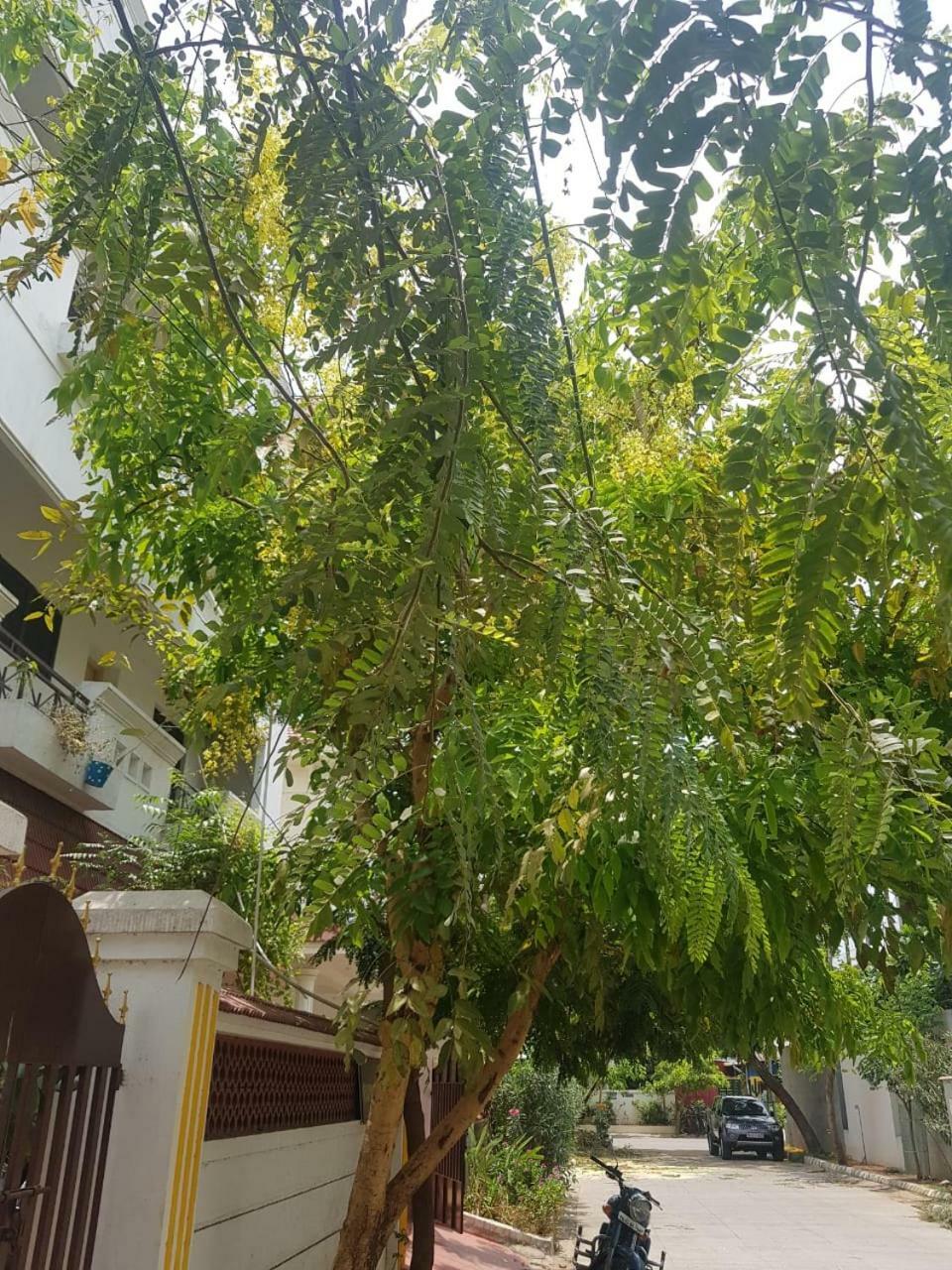 Royal Palace Guest House Chennai Luaran gambar